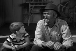 Buddy Ebsen Ron Howard