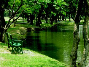 suan-rot-fai-1-300x225