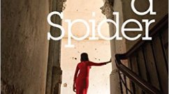 Review Kevin Cummings