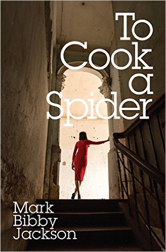 Review Kevin Cummings