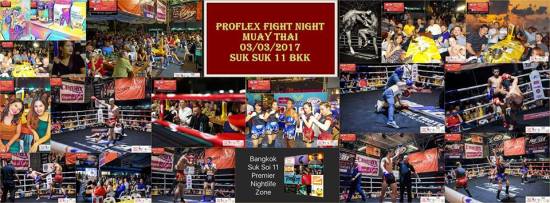 proflex-fight-night